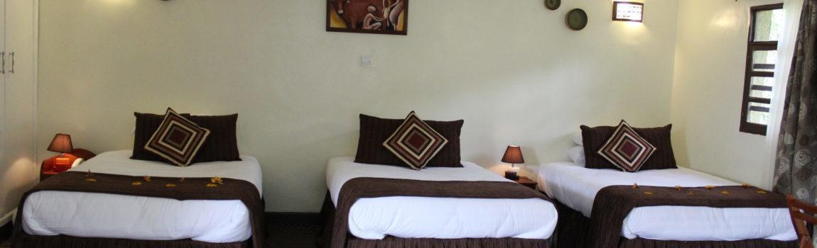 Davinci Gorilla Lodge Kinigi Εξωτερικό φωτογραφία