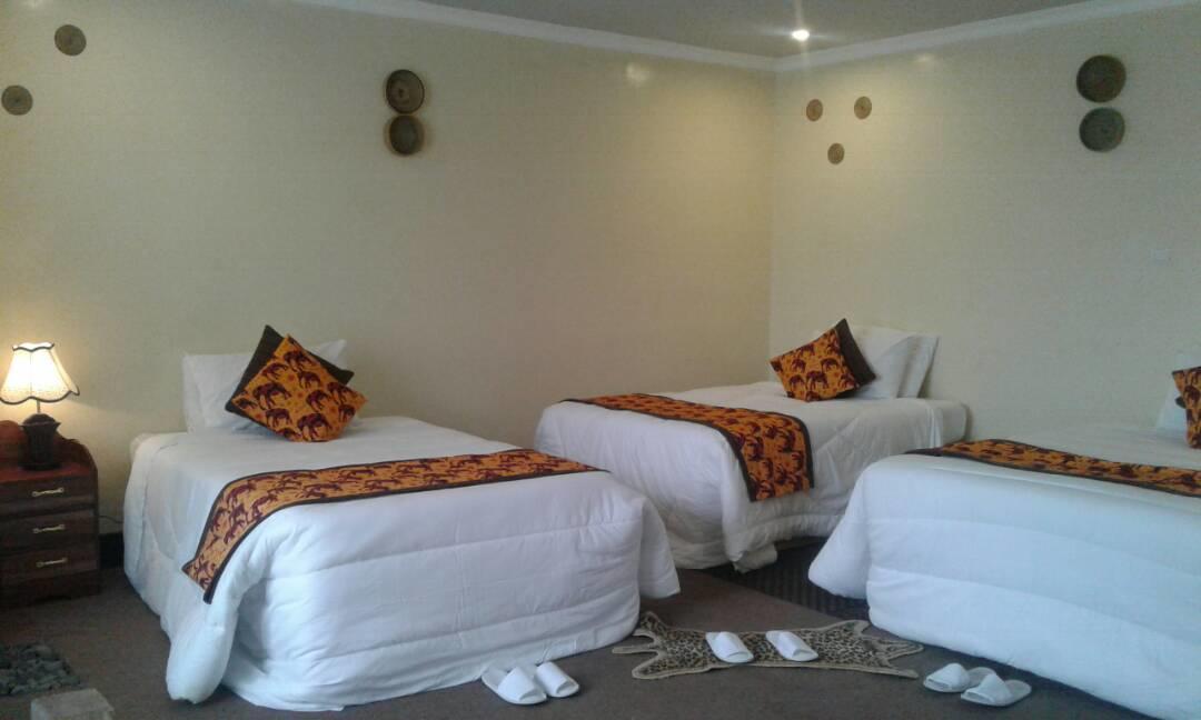 Davinci Gorilla Lodge Kinigi Εξωτερικό φωτογραφία